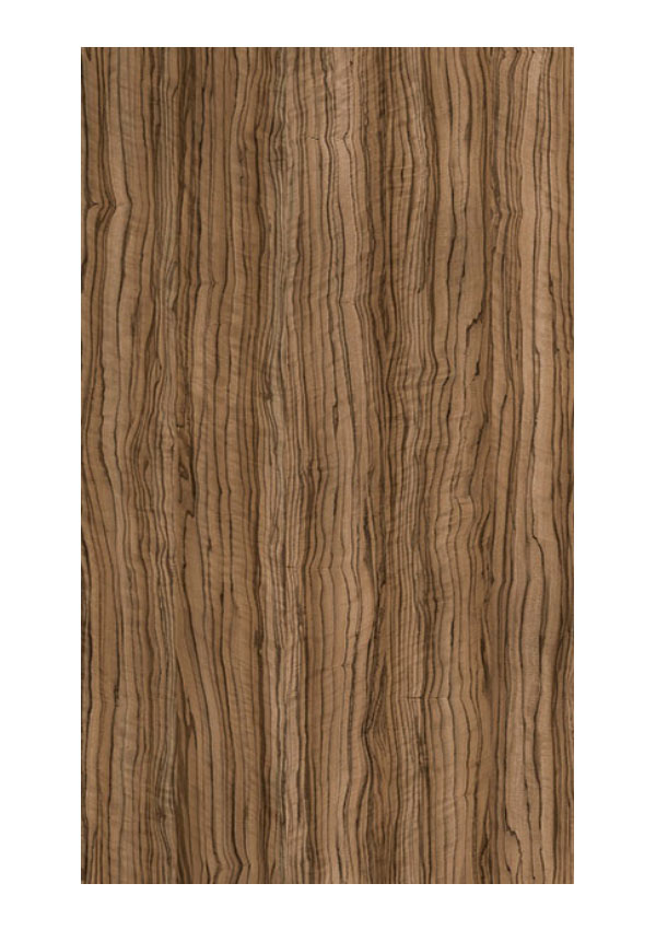 Doors Collection 4