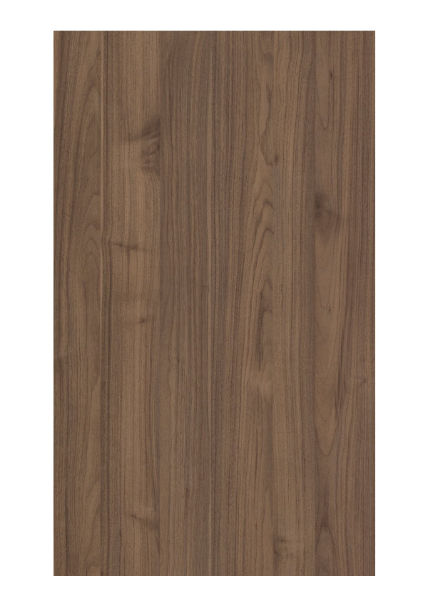 Doors Collection 4
