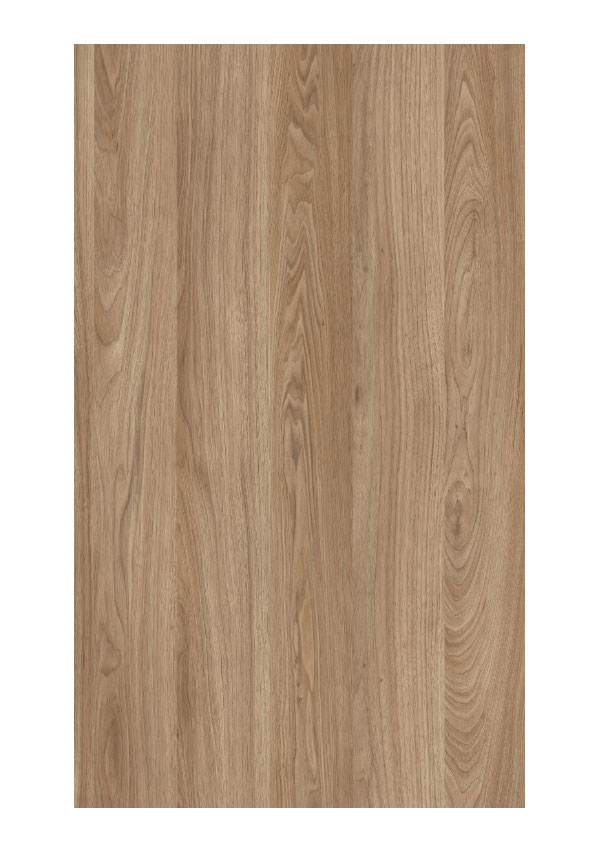 Doors Collection 4